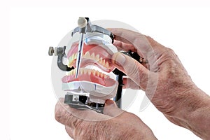 Â  Checking and setting teeth of dentures